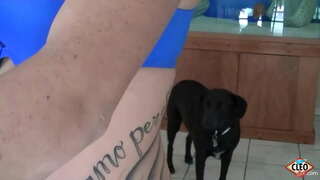 ינקעד באַבע זייַן קלעאָ לייקס צו געבן אַ העלפּינג האַנט ווען אַ גרויס דיק דאַרף צו באַפרייַען דרוק, אפילו מער אויב זי קענען באַקומען וואַרעם קום אַלע איבער איר טיץ! אַזוי פייַן! פול ווידעא &amp;amp; אַלע פון זייַן קלעאָ @ ItsCleoLive.com!