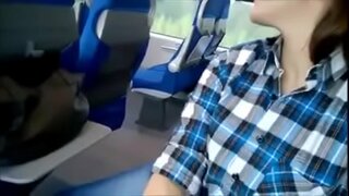 Neptis puella hirundo